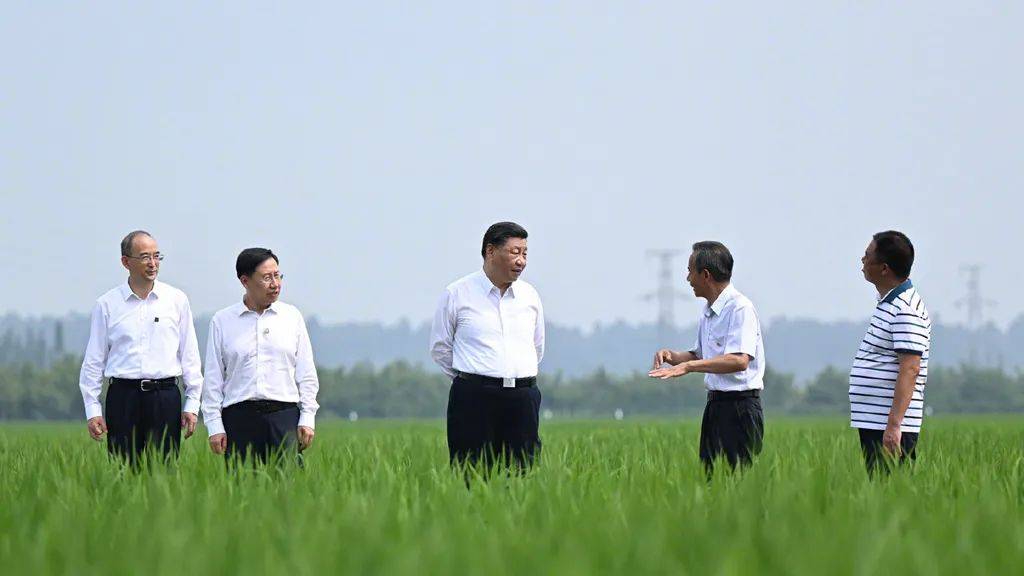ปธน.สี จิ้นผิงตรวจเยี่ยมพื้นที่เกษตรมาตรฐานสูง 